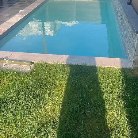 Willa Aqua Detente *